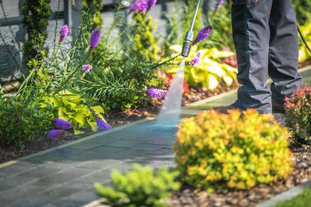 Best Spring Cleaning  in North Little Rock, AR